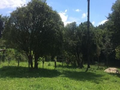 Terreno para Venda, em Florestal, bairro Catatau- Zona Rural